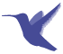 Logo Calypte